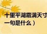 十里平湖霜满天寸寸青丝愁华年什么意思（下一句是什么）
