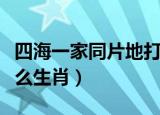 四海一家同片地打一肖（四海一家同片地是什么生肖）
