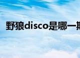 野狼disco是哪一期（野狼disco原唱是谁）