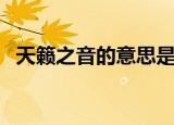 天籁之音的意思是什么（天籁之音的意思）