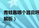 青蛙靠哪个器官呼吸（青蛙靠哪个器官呼吸的解析）