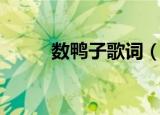 数鸭子歌词（数鸭子的完整歌词）