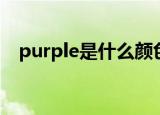 purple是什么颜色（科普purple的意思）