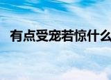 有点受宠若惊什么意思（受宠若惊的意思）