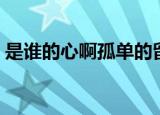 是谁的心啊孤单的留下什么歌（月牙湾歌词）