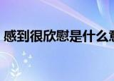 感到很欣慰是什么意思（感到很欣慰的含义）