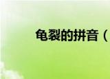 龟裂的拼音（龟裂的读音和解释）