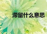 滞留什么意思（词语滞留什么意思）