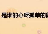 是谁的心呀孤单的留下是哪首歌（完整歌词）