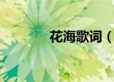 花海歌词（花海歌词是什么）
