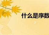 什么是序数词（序数词介绍）