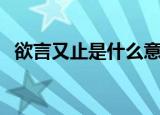 欲言又止是什么意思（欲言又止意思简述）