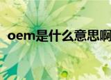 oem是什么意思啊（到底oem是什么意思）