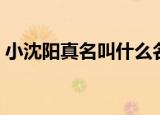 小沈阳真名叫什么名字（艺名小沈阳的由来）