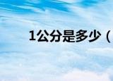 1公分是多少（1公分等于多少厘米）