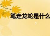 笔走龙蛇是什么意思（笔走龙蛇释义）
