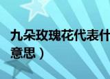 九朵玫瑰花代表什么意思（九朵玫瑰花代表的意思）
