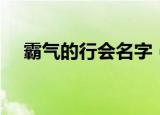 霸气的行会名字（比较好听的行会名字）