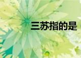 三苏指的是（三苏指的是什么）