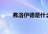 弗洛伊德是什么人（弗洛伊德简介）