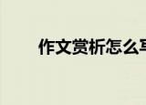 作文赏析怎么写（作文赏析如何写）