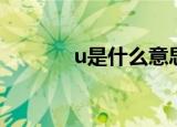 u是什么意思（u意思是什么）
