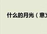 什么的月光（意义列举什么的月光填词）