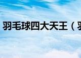 羽毛球四大天王（羽毛球四大天王分别是谁）
