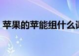 苹果的苹能组什么词（苹果的苹能组哪些词）