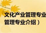 文化产业管理专业是干什么的（关于文化产业管理专业介绍）