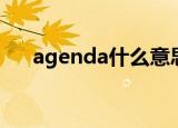 agenda什么意思（agenda中文意思）