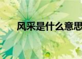 风采是什么意思（词语风采什么意思）