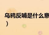 乌鸦反哺是什么意思（乌鸦反哺的意义和意思）