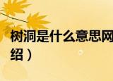 树洞是什么意思网络用语（网络语树洞含义介绍）