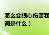 怎么会狠心伤害我歌词（怎么会狠心伤害我歌词是什么）