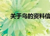 关于鸟的资料信息（鸟的资料有哪些）