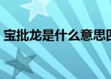 宝批龙是什么意思四川（宝批龙是什么意思）