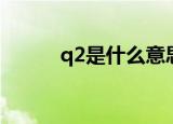 q2是什么意思（q2的简单介绍）