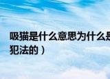 吸猫是什么意思为什么是犯法的（吸猫意思是什么为什么是犯法的）