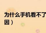 为什么手机看不了视频（这四个都是常见的原因）