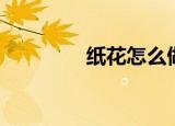 纸花怎么做（纸花的做法）
