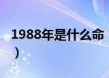 1988年是什么命（1988年属龙人的命运分析）