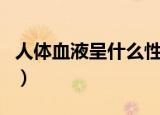 人体血液呈什么性（人体血液是呈什么性介绍）