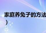家庭养兔子的方法（家庭养兔子的方法有哪些）