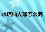 水培仙人球怎么养（水培仙人球的养殖方法）