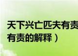 天下兴亡匹夫有责是什么意思（天下兴亡匹夫有责的解释）