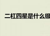 二杠四星是什么级别（二杠四星军衔介绍）