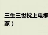 三生三世枕上电视剧播出时间（下面就告诉大家）