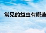 常见的益虫有哪些（常见的益虫有哪几种）