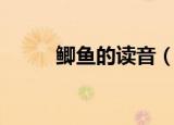 鲫鱼的读音（鲫鱼的读音是什么）
